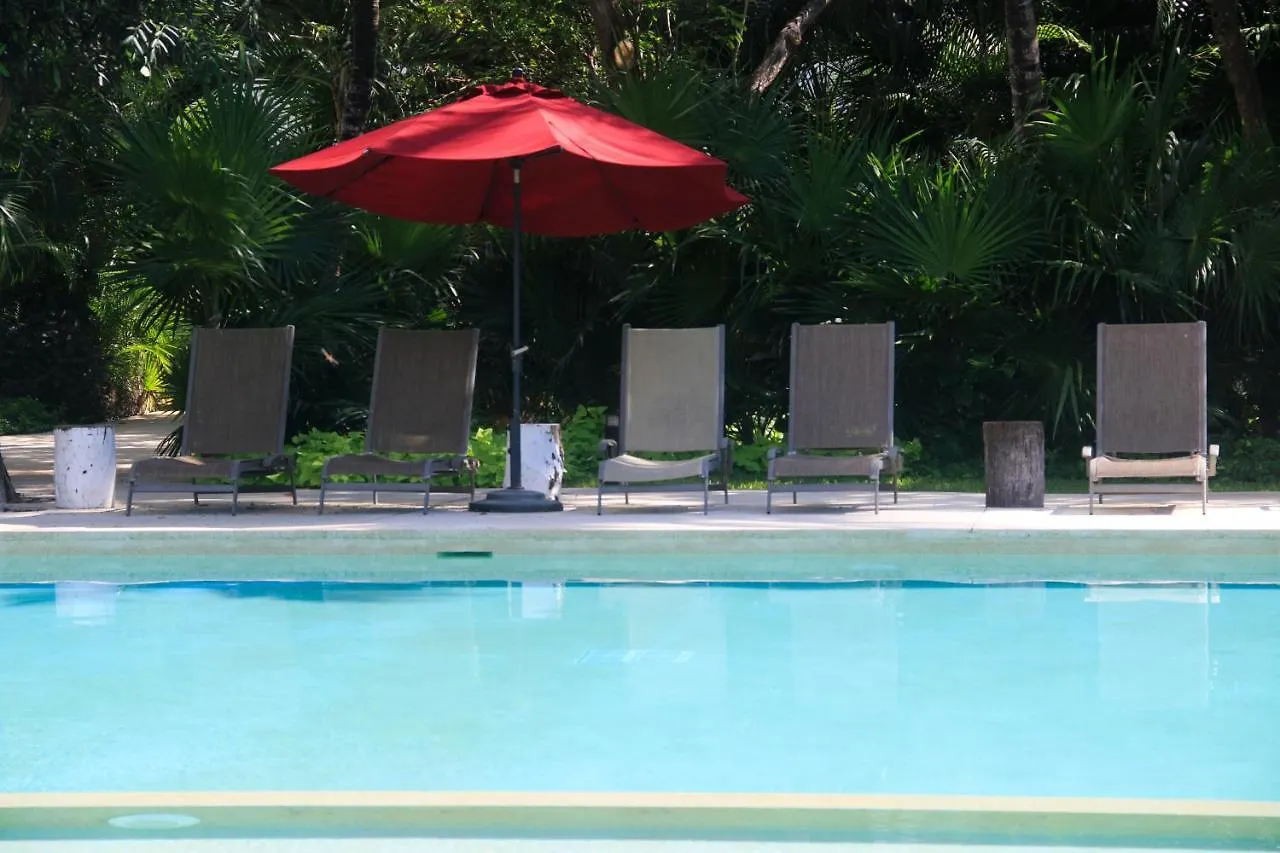 Nick Price Luxury 2 Bedroom Apartment By Spot Rentals Playa del Carmen Messico
